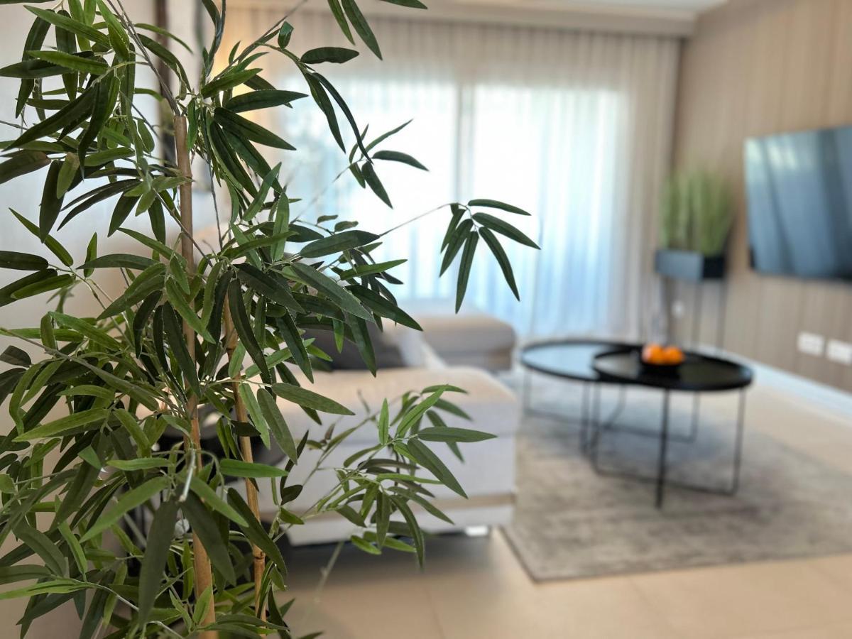 Panorama Mar - Primera Linea - Lujo 托雷维耶哈 外观 照片